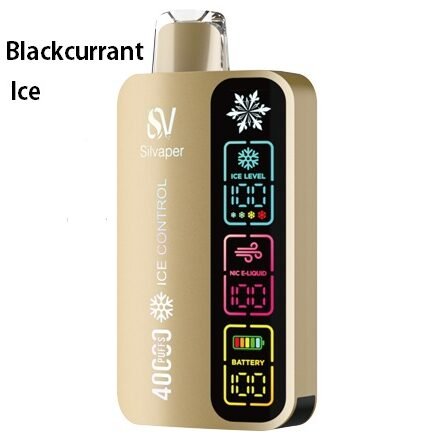 Silvaper Blackcurrant Ice 40000puffs 20mg