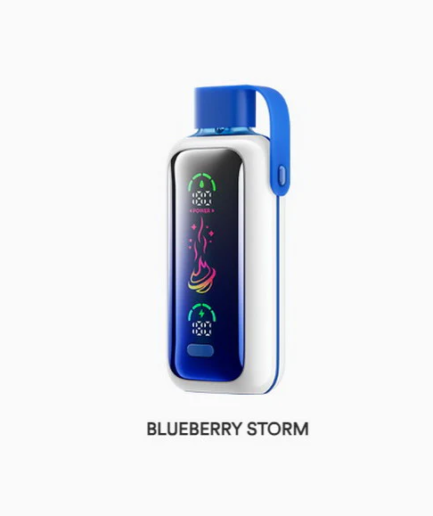 VOZOL STAR Blueberry Storm 20000pfs 5%