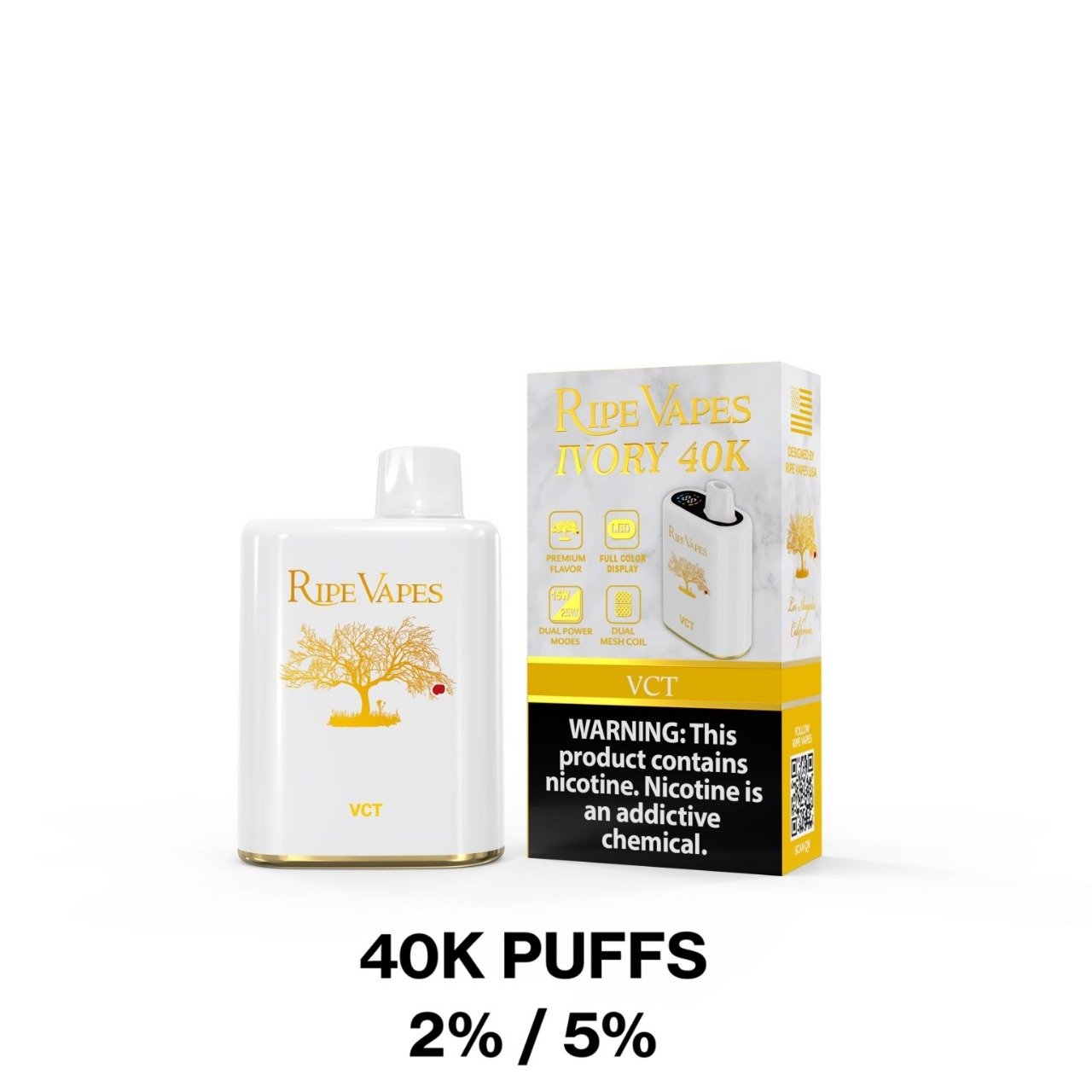 WhatsApp Image 2025-11-03 at 10.46.00 PM