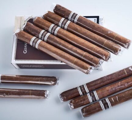 Guantanamera Cigars Pack of 10 pcs