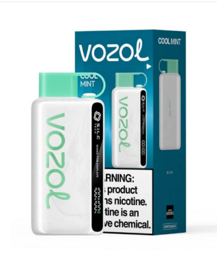 VOZOL STAR Cool Mint 12000pfs 5%